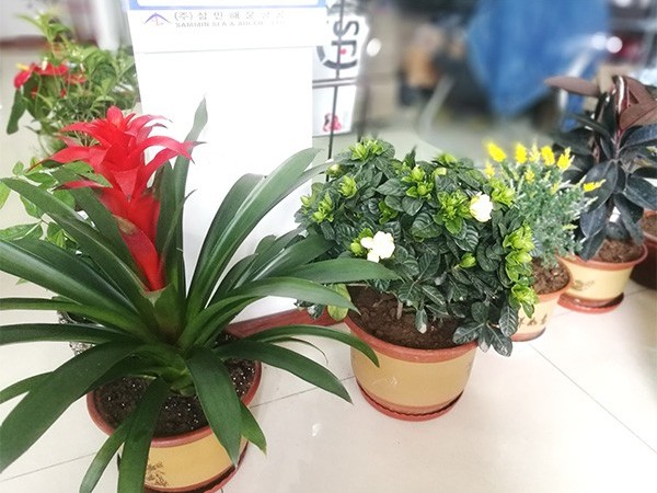 【栽花季】格誠經(jīng)緯齊上陣，培土育花把春忙
